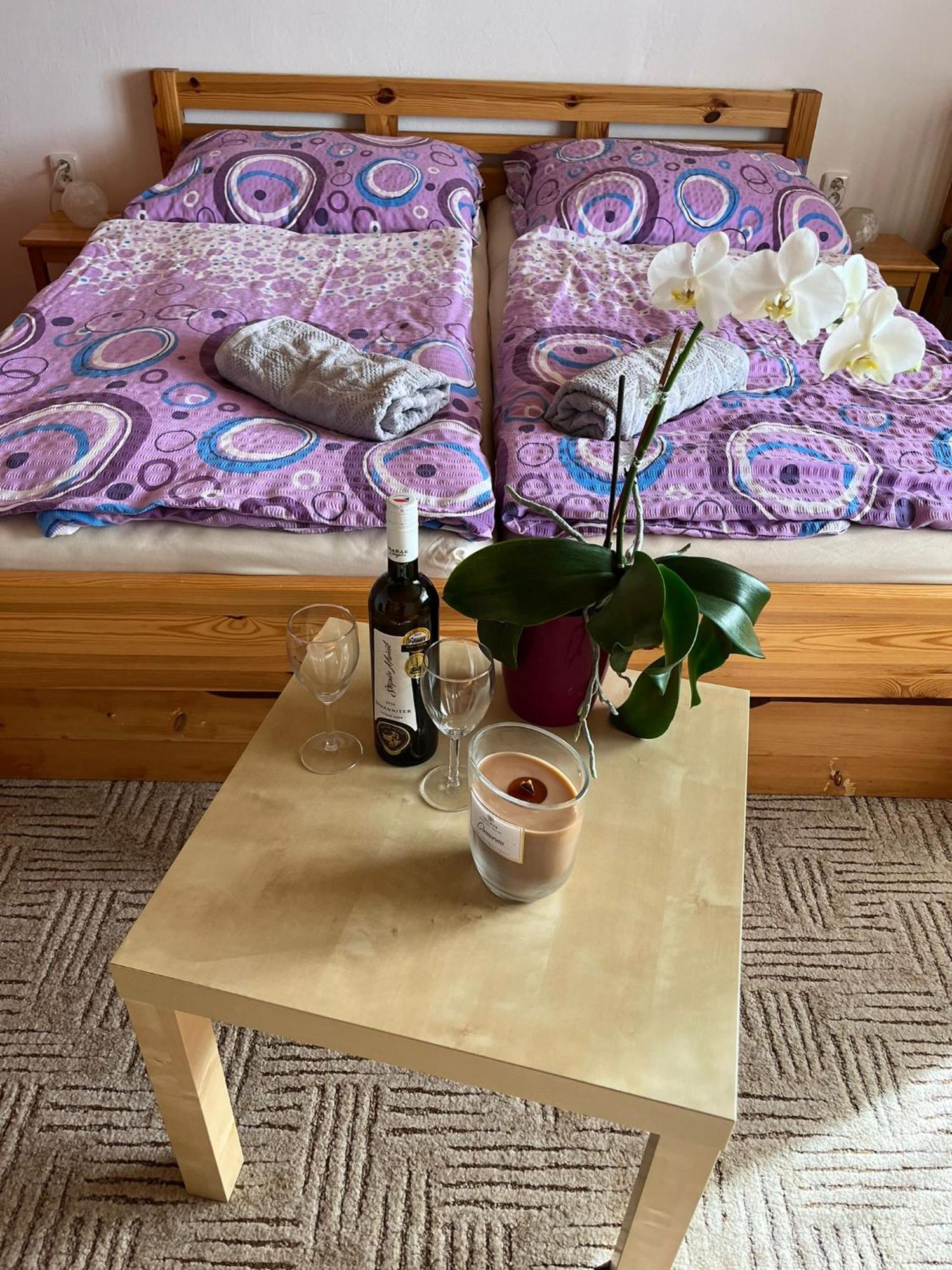 Apartman Za Kostelem Zvole  Rum bild